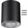 Потолочный светильник ODEON LIGHT BRIM 7138/12CL