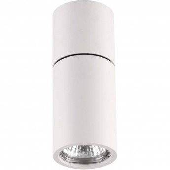 Потолочный светильник ODEON LIGHT DUETTA 3582/1C